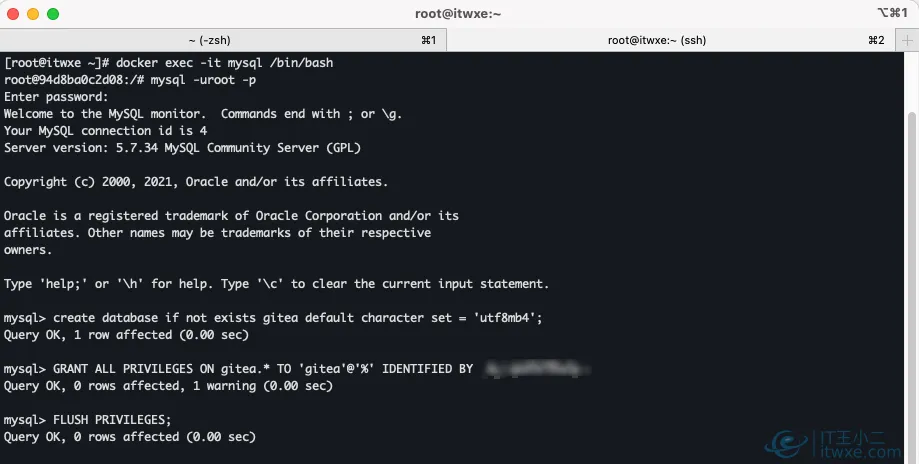 创建gitea数据库