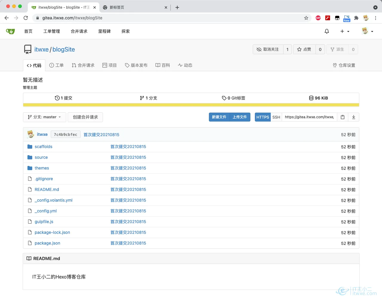 blogSite提交结果