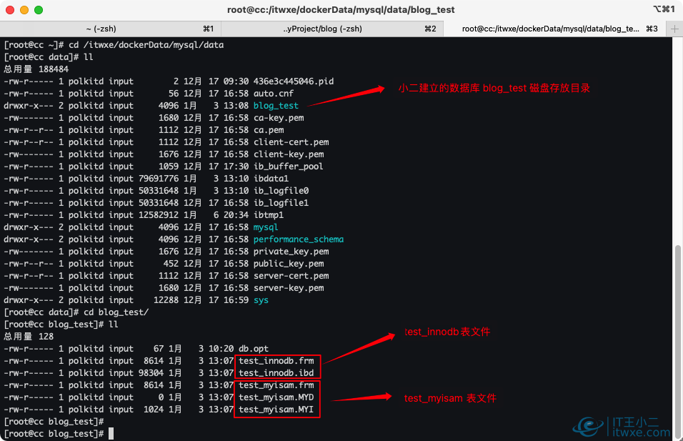 MySQL数据库及表文件存放位置及方式