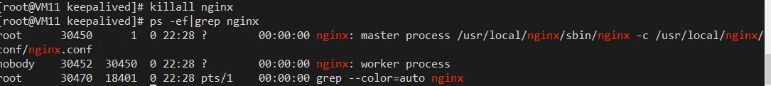 打不死的nginx